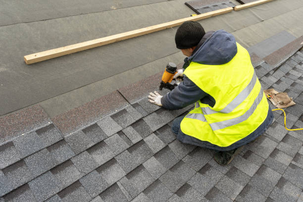 Best Roof Gutter Cleaning  in Arial, SC